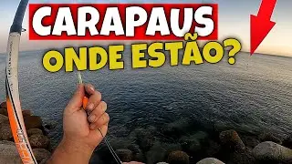 SERÁ DA LUA, SERÁ DO ISCO, CARAPAUS ONDE ESTÃO??? PESCA À BOIA AOS CARAPAUS/MACKEREL FISHING