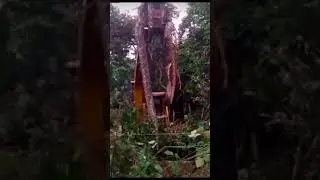 Now!!! Big snake Caught n Camera #snake #phyton #animals #viral #short