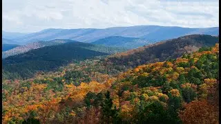 Foliage on Talimena Scenic Drive Way 2020 (4K Resolution)