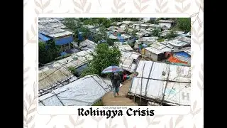 Rohingya Refugee Crisis: A Timeline of Struggle and Survival