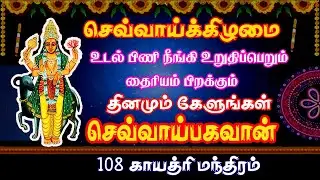 சொந்த வீட்டு கனவு திருமண பாக்கியத்தைக் கொடுத்து அருளுவார் செவ்வாய் முதலான தோஷத்தை நிவர்த்தி செய்ய
