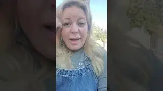 REFLECTION IN THE COW PEN