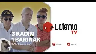 3 Kadın 1 Barınak / Duyarlı Zamanlar - PatiPark Kadınları