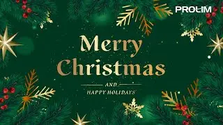 Merry Christmas 2022! From PROLIM Family
