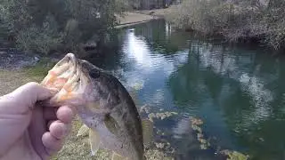 Pond Sight Fishing in Mount Pleasant SC