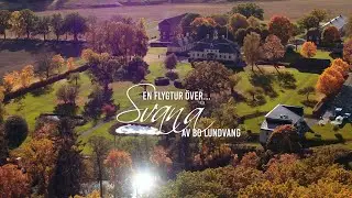 Svanå på hösten (norr om Västerås)
