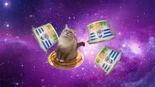 Cat Russian Pomf Pomf