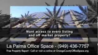 La Palma Office Space for Rent