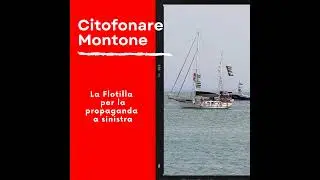 La Flotilla serve solo per la propaganda a sinistra