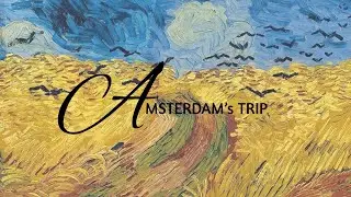 Amsterdam&rsquo;s trip | its.gey