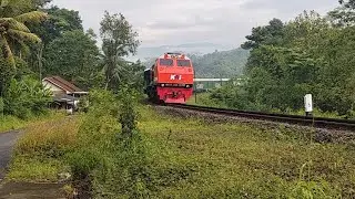 Панорамный пакетный поезд, ведомый редким локомотивом ‼️