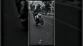 pulsar ns rider 🏍️🏍️🏍️👹👹#status #shorts #video