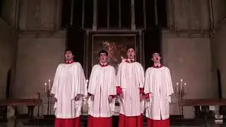 Boi sing with helium