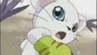 lopmon,gatomon,renamon[ behind hazel eyes]