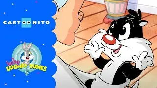 Baby Looney Tunes | Sylvester will spielen | Cartoonito