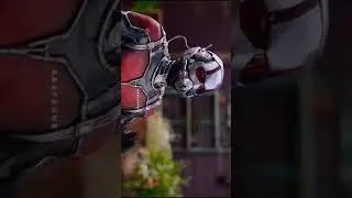 Ant man Action Short Clip #antman #action #short #marvelfans #marvel #avengers