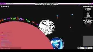 Biggest Mother Cell in Agar.io!