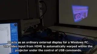 Full-Color High-Speed Projector with 2400-fps Motion Adaptability