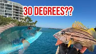 Catching TROPICAL REEF FISH in FREEZING Weather | Boca Raton Inlet Fishing