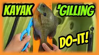 Dominate Bluegill Fishing From Your Kayak #tripleshotapproach #pelicancatchmode110