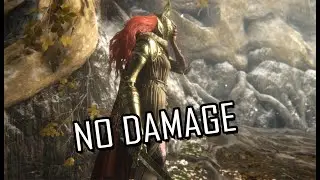 Elden Ring - Rivers of Blood Vs Malenia, Blade of Miquella [No Damage] Solo Gameplay