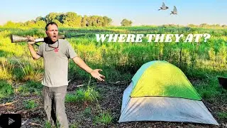 I CAMPED IN THE DOVE FIELD OVERNIGHT