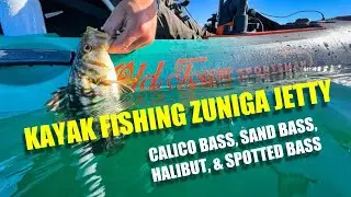 Kayak Fishing Zuniga Jetty San Diego Bay (5 species!)