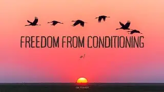 Freedom From Conditioning #1 - AK Tiwari 