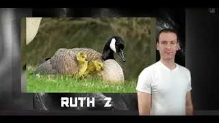 Ruth Chapter 2 Summary and What God Wants From Us