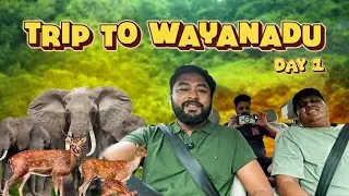 Chennai ➡️ Wayanad: காலை  7:30ku Vaniyambadi பிரியாணி 🍽️ | Bandipur-la யானை Paarthom 🐘