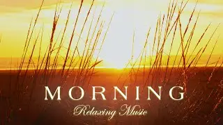 Deep Focus Music - Boost Your Alertness and Concentration, Study Music, Memory Music