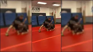Breaking The Turtle To Catch A Crossface