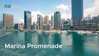 Dubai Marina Luxury Studio | Breathtaking Skyline Views & Spacious Terrace | Nexus Living