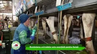 Portret de fermier - Lucian Chelariu Ferma Panifcom Iasi 18 05 2025