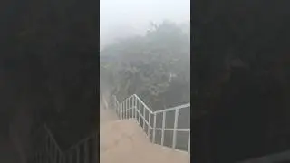 Meerut ka mausam | fog | KOHRA