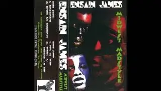 Ensain James-Brink Of Ensainty (1995)