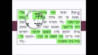 Cantillation Overview-Part 3
