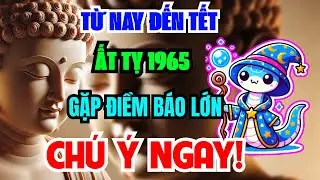 Sự Thật Đáng Sợ Chỉ Tôi Dám Nói: Ất Tỵ 1965 Từ Nay Đến Tết Âm Lịch, Muộn 1 Bước Là Lỡ Cả Đời