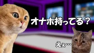 俺がVRChatで会ったヤバい奴【猫ミーム】#猫ミーム