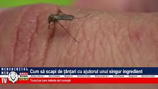 CUM SĂ SCAPI DE Ț&Acirc;NȚARI CU AJUTORUL UNUI SINGUR INGREDIENT