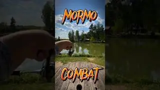 Sub Zero CF VS щука. Мормышинг #рыбалка #мормышинг
