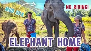 CHIANG MAI ELEPHANT HOME | THAILAND | Spending A WHOLE day with Elephants