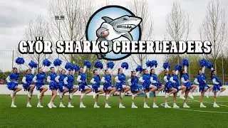 Bemutatkoznak a Győr Sharks Cheerleaderei