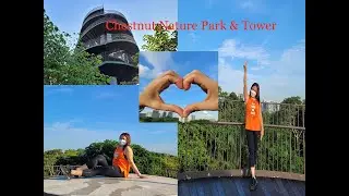 60th Vlog Chestnut Nature Park & Observation Tower in Singapore #ChestnutObservationTower #Singapore
