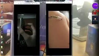 Chinese Phone Crash Compilation and Watching Samsung C-3300K Champ (on Windows Vienna Rocker)