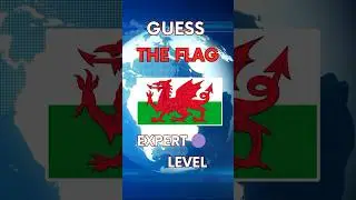 Guess The Flag Part #4: Expert Level #shorts #youtubeshorts  #guesstheflags
