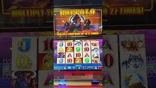 Buffalo slot machine bonus feature at a pizza schmizza in Oregon