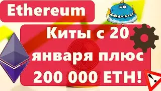 Ethereum киты с 20 января плюс 200 000 ETH!!! Биткоин Квантовая Угроза: Что нового?