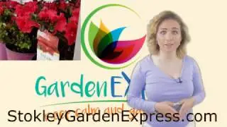 Stokley Garden Express Semmes Alabama