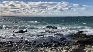 Ocean Point Part 2! #ocean #oceanwaves #oceanlife #shorts #saltwater #saltwaterlife #saltwaterfish